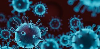 രാജ്യത്ത് കോവിഡ് ബാധിതര് 43 ലക്ഷത്തിനടുത്ത്; മരണസംഖ്യ 72775 Malabarnews_covid in india