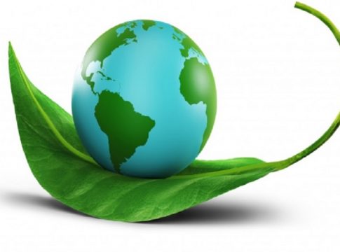 High Court Stays EIA Draft