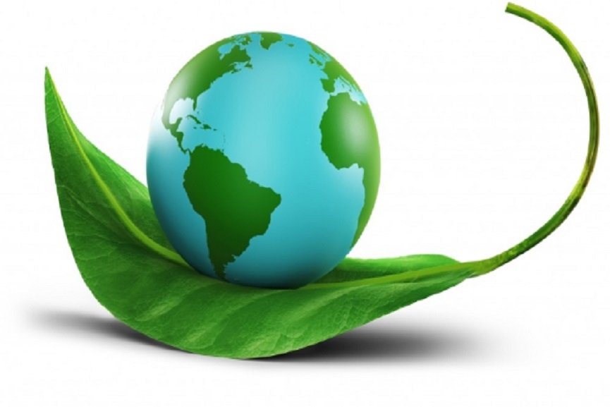 MalabarNews_EIA High Court Stays EIA Draft