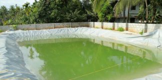 fish-enrichment-project_2020 Sep 04