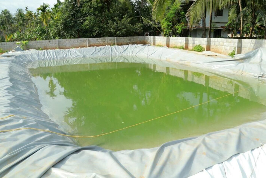 Malabar News_fish-enrichment-project_2020 Sep 04 fish-enrichment-project_2020 Sep 04