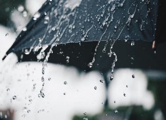രാജ്യത്ത് ഇത്തവണ സാധാരണ കാലവർഷം; കേരളത്തിൽ കൂടുതൽ മഴക്ക് സാധ്യത MalabarNews_Rain