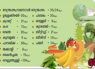 രാജ്യത്ത് ആദ്യം; സംസ്ഥാനത്ത് പച്ചക്കറികള്ക്ക് തറവില പ്രഖ്യാപിച്ചു MalabarNews_vegetables base price