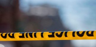 lokajalakam image_malabar news