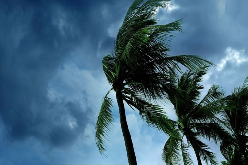 kerala image_malabar news kerala image_malabar news