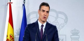 MalabarNews_pedro_sanchez