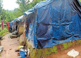 Kavumkunnam plot case