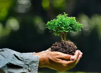 ഹരിതകേരളം; നാലാമത് പച്ചത്തുരുത്ത് യാഥാര്ഥ്യമാക്കി കൊടുങ്ങല്ലൂര് നഗരസഭ malabar image_malabar news