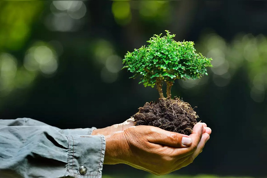 malabar image_malabar news malabar image_malabar news