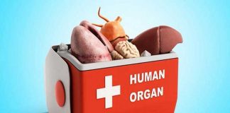 Organ Sale