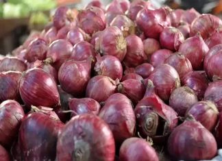 เดนเตเดฐเตโเดเตเดเดฟเดเตเดฐเตโเดชเตเดชเดฟเดฒเตโ เดเดจเตเดจเดฒเต เดฎเดพเดคเตเดฐเด เดตเดฟเดฑเตเดฑเดดเดฟเดเตเดเดคเต 2 เดเดฃเตโ เดธเดตเดพเดณ Onion Price Raising In Kerala