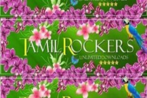 Thamil rockers_Malabar news