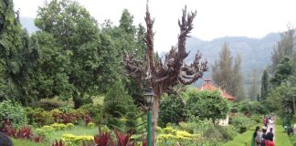 Malabarnews_pothundi dam