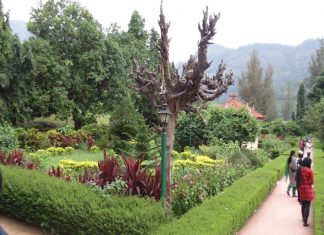 Malabarnews_pothundi dam