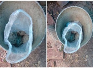 MalabarNews_bomb found in kannur