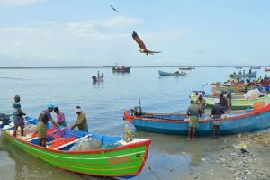 Fisherman in ponnani