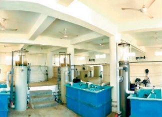 Fish Brood Bank In Keral