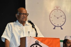 Sharath pawar_NCP_Malabar news