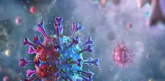 രാജ്യത്തെ കോവിഡ് വ്യാപനം ഫെബ്രുവരിയോടെ നിയന്ത്രിക്കാനാകും; വിദഗ്ധ സമിതി Malabarnews_covid india