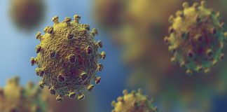 എറണാകുളം; കോവിഡ് ആശങ്ക വര്ധിക്കുന്നു, ജില്ലയില് ഇന്ന് നാല് മരണം Malabarnews_covid death in eranakulam