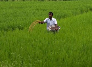 kerala image_malabar news