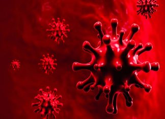 Malabarnews_covid death in wayanad