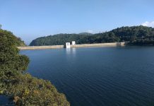 കക്കി ആനത്തോട് ഡാം ഇന്ന് തുറക്കും; പമ്പാ തീരത്ത് ജാഗ്രതാ നിർദ്ദേശം kakki anathodu-dam-open