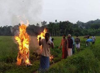 keezhattoor-bypass_2020-Oct-13