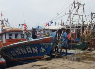 Malabar News_ fish harbours to open