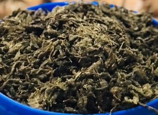 കാറിൽ 25 കിലോ കഞ്ചാവ് കടത്താൻ ശ്രമം; മൂന്ന് പേർ പിടിയിൽ Representational Image_Malabar News