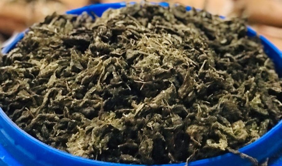 Representational Image_Malabar News Representational Image_Malabar News