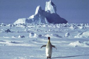Largest Ozone Hole In Antarctica