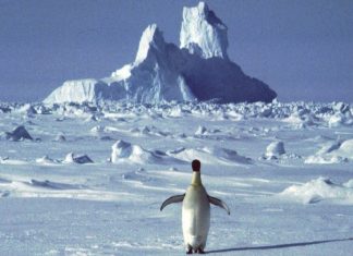 ഓസോൺ ദ്വാരം ഭീകരാവസ്ഥയിൽ; മുന്നറിയിപ്പ് നൽകി ശാസ്ത്ര ലോകം Largest Ozone Hole In Antarctica