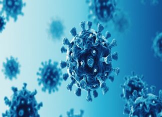 lokajalakam image_malabar news