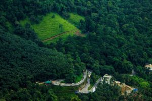 Malabarnews_wayanad