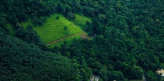 Malabarnews_wayanad