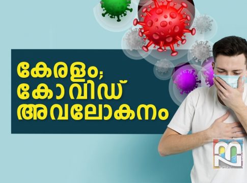 Covid Kerala Report 2020 Nov 22_ Malabar News