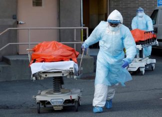 wayanad image_malabar news