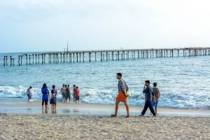 Malabrnews_alappuzha beach