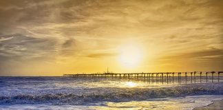 ‘ലുക്കൊന്ന് മാറ്റാം’; അടിമുടി മാറാന് ഒരുങ്ങി ആലപ്പുഴ ബീച്ച് Malabarnews_alappuzha beach