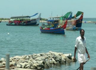 malabarnews-koyilandy-haebour