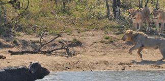 MalabarNews_spotlight