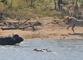 MalabarNews_spotlight