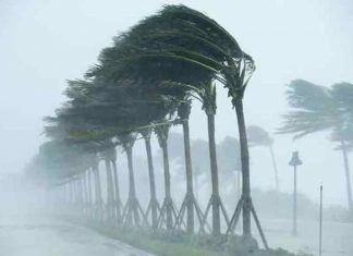 ബംഗാൾ ഉൾക്കടലിലെ ന്യൂനമർദ്ദം ചുഴലിക്കാറ്റാവും; കേരളത്തിൽ ജാഗ്രതാ നിർദേശം heavy-wind_2020-Nov-23