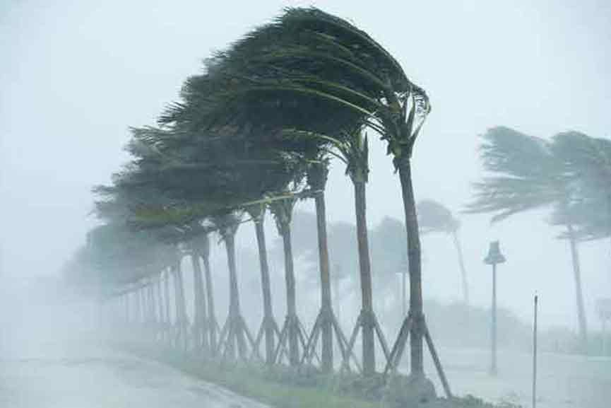 Malabar-News_heavy-wind_2020-Nov-23 heavy-wind_2020-Nov-23