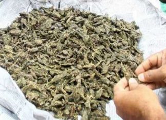 MalabarNews_ganga seized