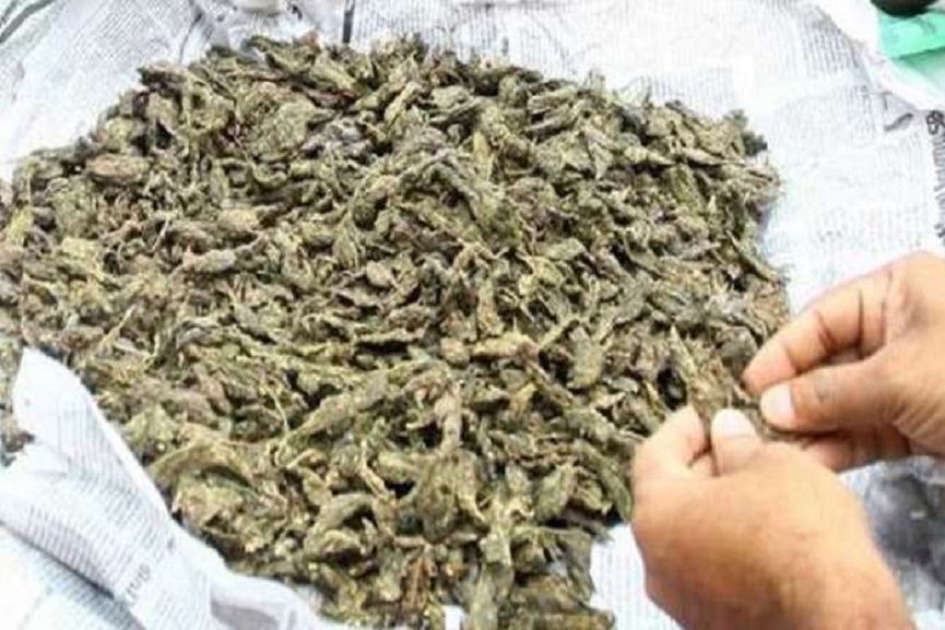 MalabarNews_ganga seized MalabarNews_ganga seized