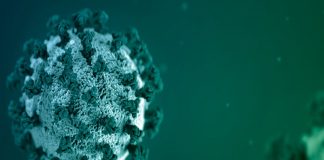 ജില്ലയില് നഗരസഭാ പരിധിയില് ഹോട്ടലുകളുടെ പ്രവര്ത്തനസമയം കുറച്ചു Malabarnews_kasargod covid