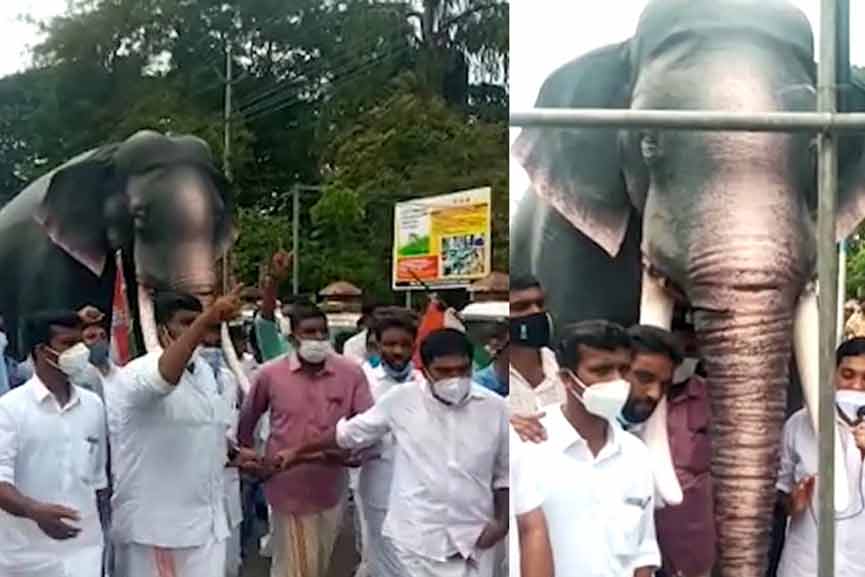 Malabar-News_youth-congrass-protest_2020-Nov-18 youth-congrass-protest_2020-Nov-18