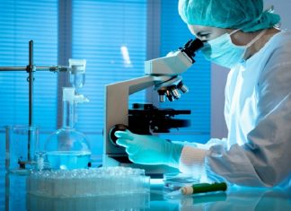 എബോളക്ക് സമാനമായ ചപാരെ വൈറസ് ശരീര ദ്രവങ്ങളിലൂടെ പകരുമെന്ന് കണ്ടെത്തൽ MALABARNEWS-VIRUS